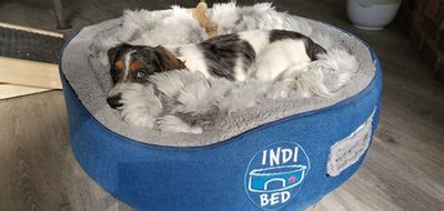 Indi Bed: Worlds First Burrowing Dog Bed For Small Dogs