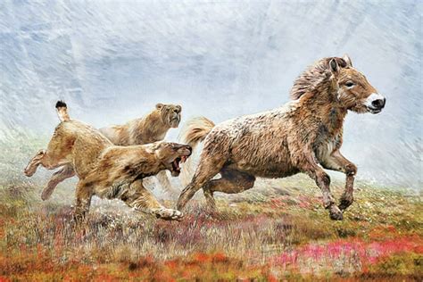 Social life of extinct sabre-toothed cat revealed by ancient DNA | New Scientist