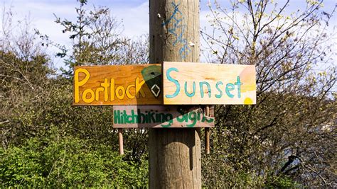 Thoughtful hitchhiking signs along the road for anyone who needs a lift. - Pointshogger