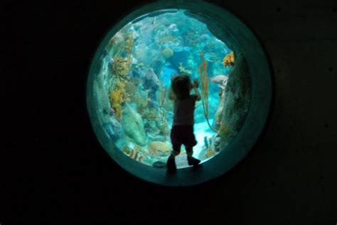 ABQ BioPark Aquarium: Albuquerque Attractions Review - 10Best Experts and Tourist Reviews