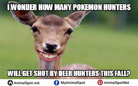 Deer Memes