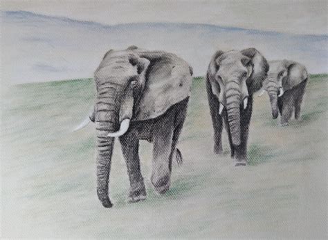 Elephant Sketch by Happy5art on DeviantArt