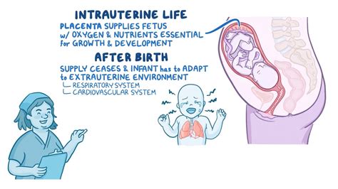 Physiologic and Behavioral Adaptations of the Newborn - Osmosis Video ...