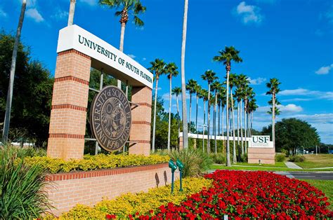 USF graduate programs rank among the best in the country – The Crow's Nest