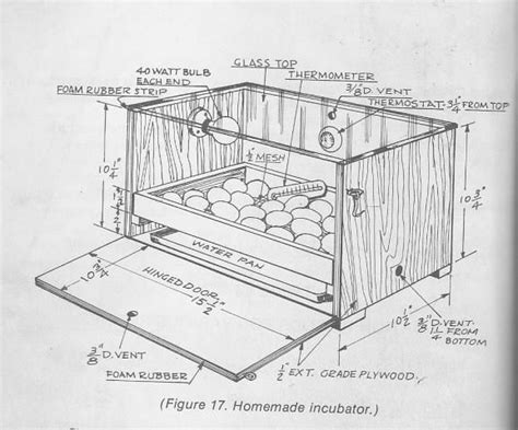 Homemade Egg Incubator Instructions