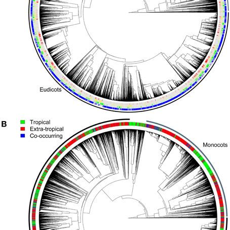 Angiosperm phylogeny used for the range shift and diversification... | Download Scientific Diagram