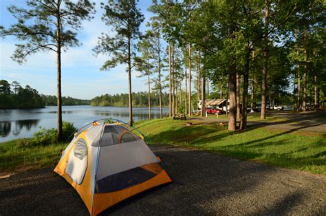 Quick Click for Camping This Weekend! - Friends of Florida State Forests