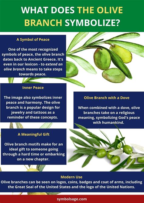 What Does the Olive Branch Symbolize? | Olive branch meaning, Olive branch symbolism, Olive branch