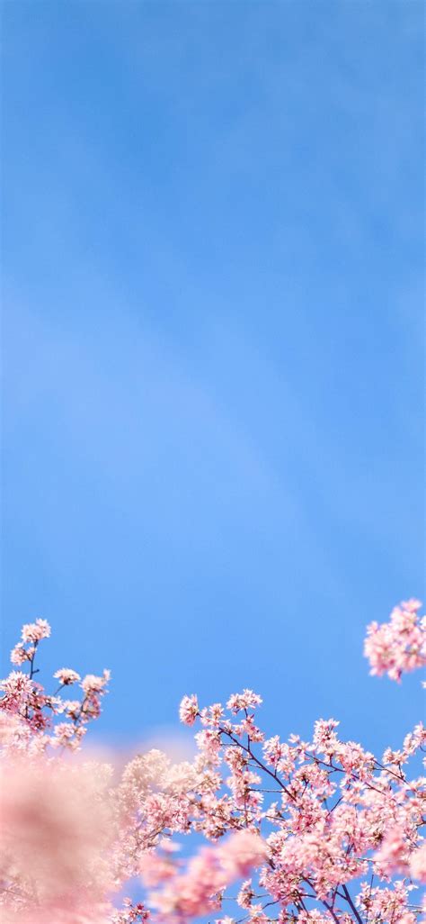 Blue Sky Phone Wallpapers - Top Free Blue Sky Phone Backgrounds - WallpaperAccess