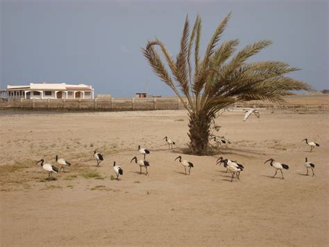 Travelogue - Destination Eritrea: Massawa – Economy of a Rebound City 2011