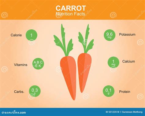 Carrot Nutrition Facts, Carrot with Information, Carrot Vector Stock Vector - Illustration of ...