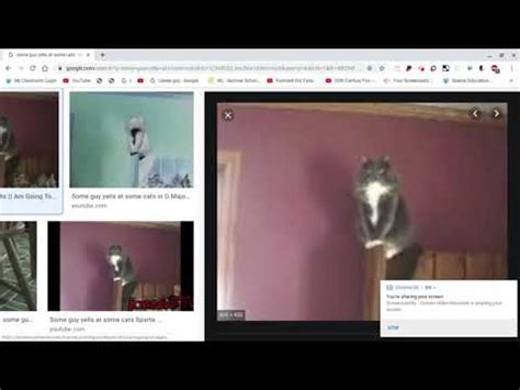 Some Guy Yells At Some Cats (CREEPYPASTA) - YouTube