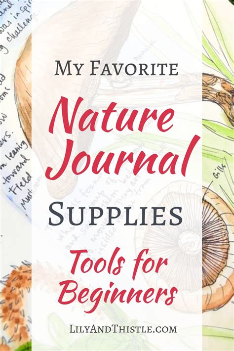 Nature Journaling Supplies-2 - Lily & Thistle