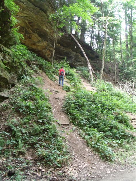 Art of 'Patience': Hiking at Turkey Run State Park....