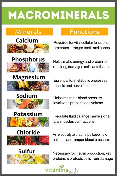 Facts You Need To Know About The 7 Macrominerals | Daily Infographic