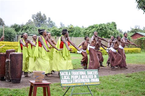 Gorilla Trekking in Rwanda | Life on Beacon