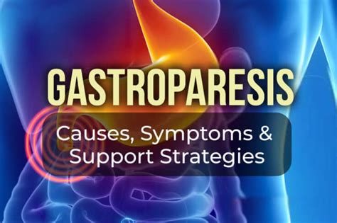 Gastroparesis: Symptoms, Causes and Natural Support Strategies