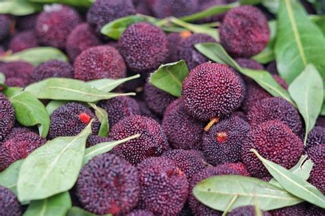 25 Asian Fruits Ranked From Delicious to Disgusting: 11 to 25 ...