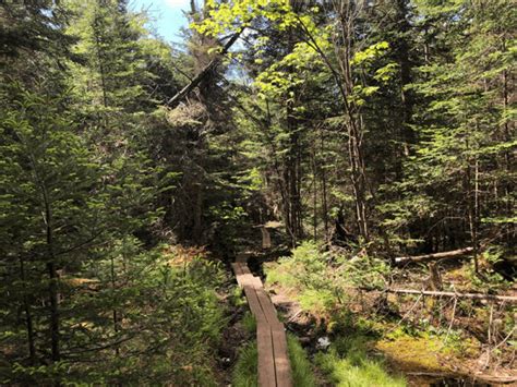 Hike Blue Mountain - Protect the Adirondacks!