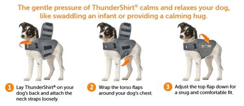 We Tried ThunderShirt® for Our Anxious Dogs and This Happened