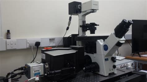 CORE EQUIPMENT: New Spinning Disc Confocal System for Live Cell Imaging. | Bioimaging Hub News