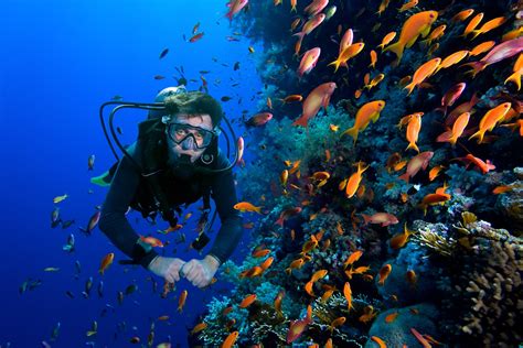 Spot Diving Terbaik Super Cantik Yang Ada di Indonesia - Pecinta Dunia Bahari