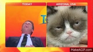 Funniest Laughing News Bloopers - Best Sexy News Anchors Can't Stop Laughing ! on Make a GIF