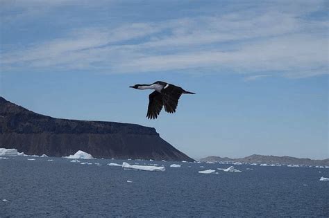 Antarctica Travel Guide: I took the National Geographic Cruise!