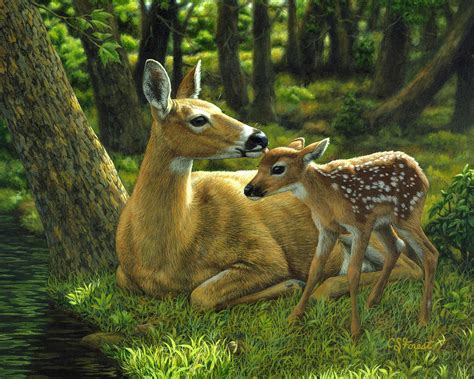 Whitetail Deer - First Spring Painting by Crista Forest - Pixels
