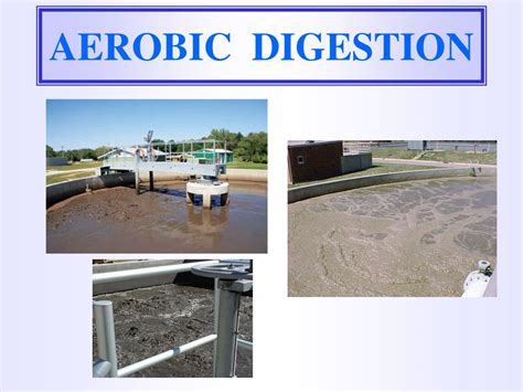 PPT - ANAEROBIC SLUDGE DIGESTION PROCESS PowerPoint Presentation, free download - ID:5615776