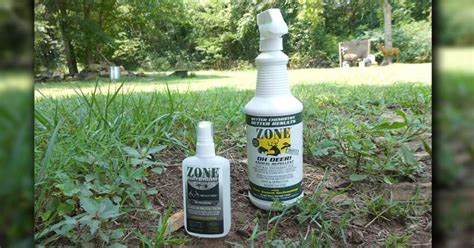 TESTED: Top Bug Repellent for Shooters and Hunters | Shoot On