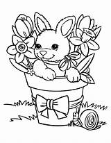 Rabbit coloring Page For Kids  & Bunny Coloring Pages sketch template