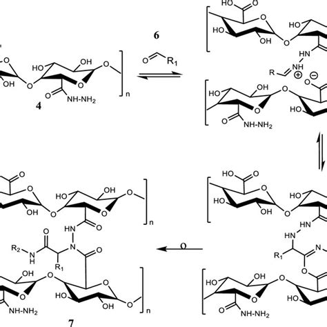 Mechanism of Ugi reaction for synthesis of cross-linked modified pectin | Download Scientific ...