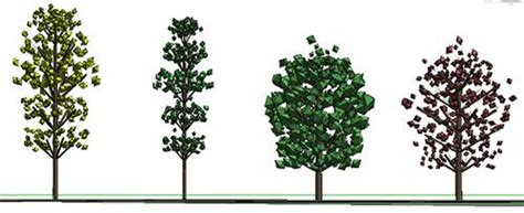 Revit 3D Trees | Landscape design, 3d tree, Autodesk software