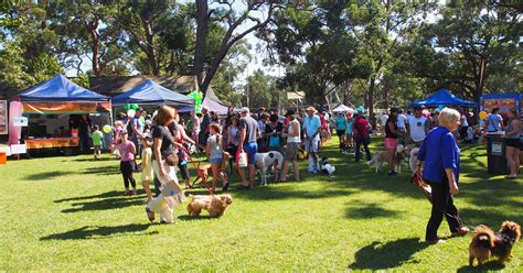 Here are 5 tips you have to know before going to a dog event near you.