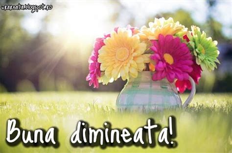 Mesaje diverse: de buna dimineata