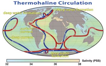 Thermohaline circulation | Earth Science