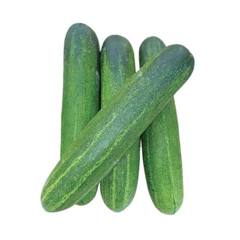 Fresh Cucumber (Timun) 1kg - DeGrocery.com