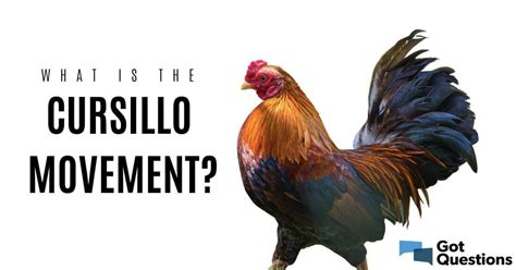 What is the Cursillo movement? | GotQuestions.org