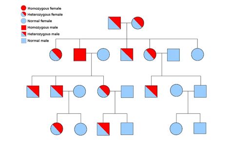 Pedigree - Definition, Function and Examples | Biology Dictionary