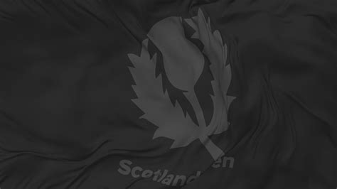 Scotland National Cricket Team, Cricket Scotland Flag Seamless Looping Background, Looped Plain ...