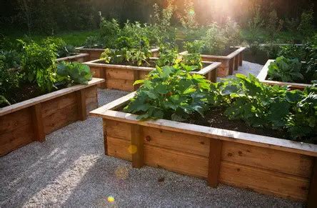 55 Great Garden Layout Ideas - Backyard Gardens