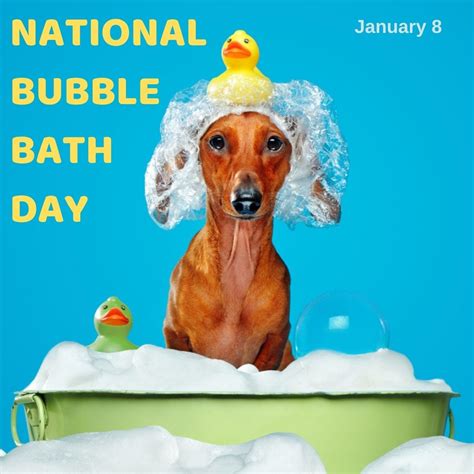 dog bubble bath - myorthodontists.info