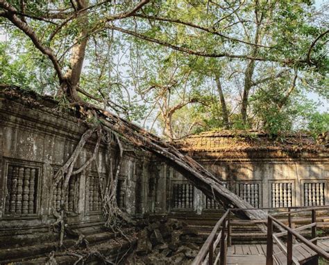 Prasat Beng Mealea in Cambodia Stock Photo - Image of culture, landscape: 97521858