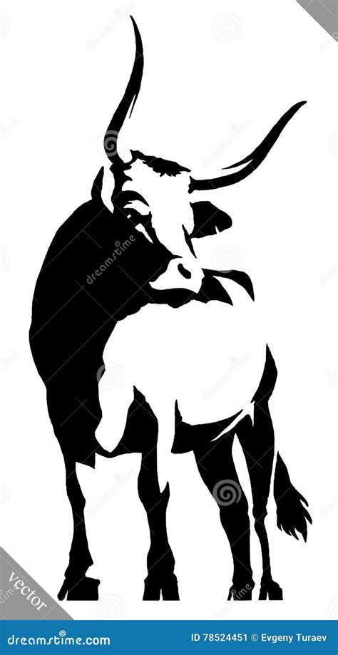 Black and White Linear Paint Draw Bull Vector Illustration Stock Vector ...