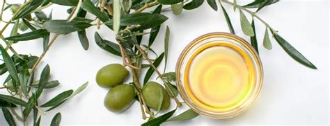 Olive Leaf Extract: Benefits, Uses & Side Effects | Holland & Barrett