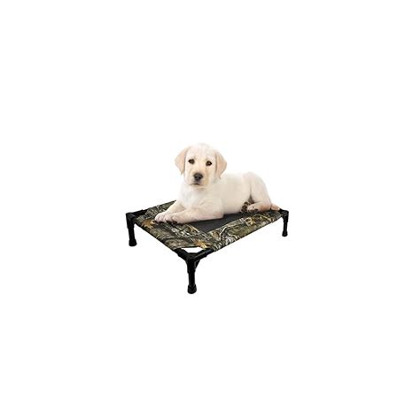 Comfortable and Durable Elevated Dog Bed - Buy Online