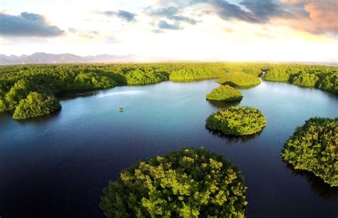 Caura River Lime & Caroni Bird Sanctuary in Trinidad with Mark Wiens | Visit Trinidad