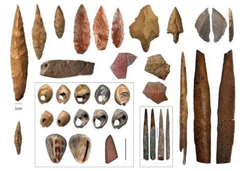 Early Human Tools | Early humans, Early humans tools, Human evolution tree