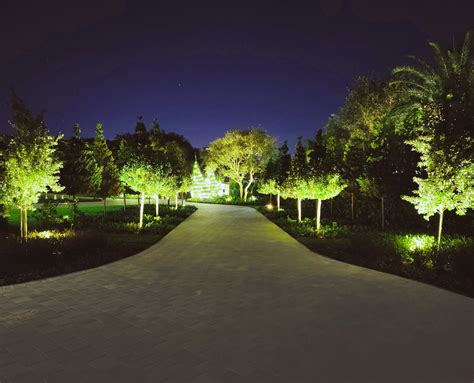 Uplighting | Outdoor lighting, Uplighting, Outdoor entertaining